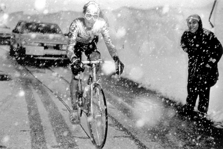 gavia 1988